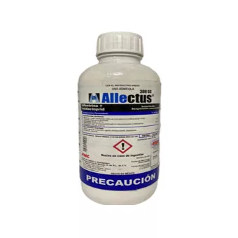 Allectus 1Lt