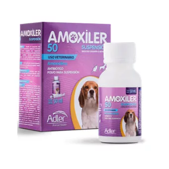 Amoxiler 200 50 Ml Suspension