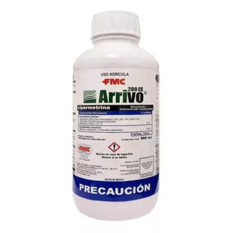 Arrivo 960 Ml