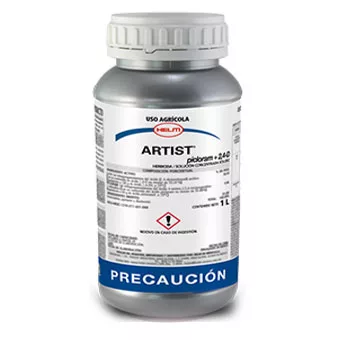 Artist 1Lt