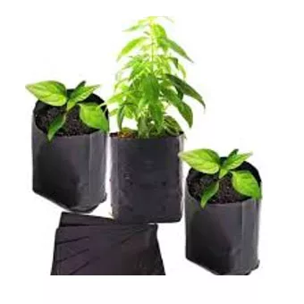 Bolsas Para Viveros