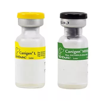 Canigen Mha2Pl Cuadruple