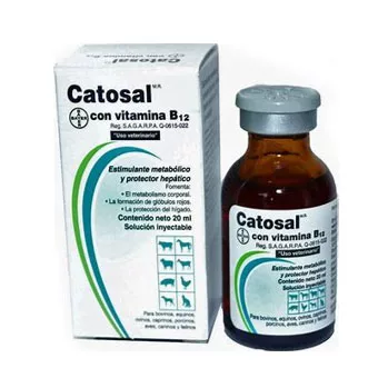 Catosal Con Vitamina B12 100Ml
