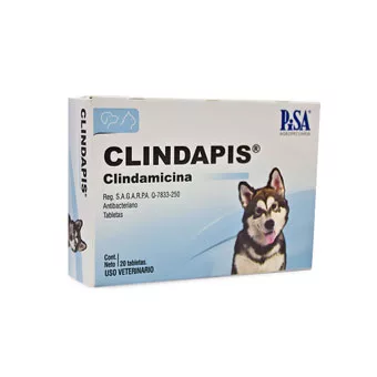 Clindapis Tabletas