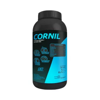 Cornil 1Lt Lucava
