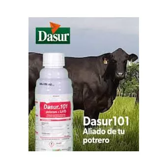 Dragon 101 10Lt