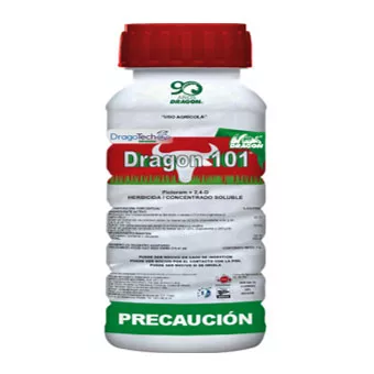 Dragon 101 10Lt