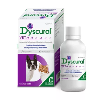 Dyscural Vet