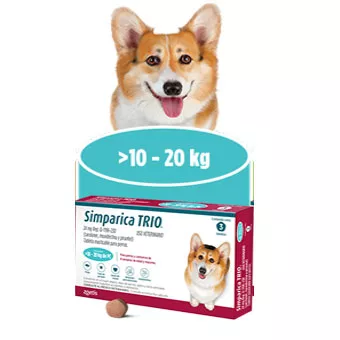 Simparica Trio 10-20Kg