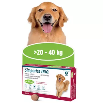 Simparica Trio 20-40Kg
