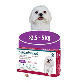 Simparica Trio 2.5-5kg