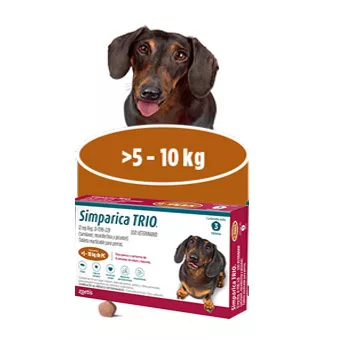Simparica Trio 5-10Kg
