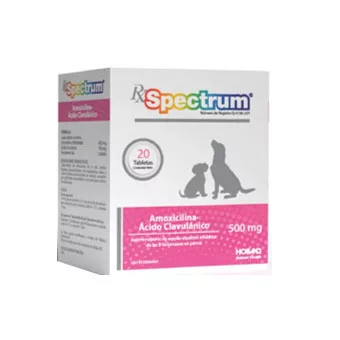 Spectrum Amoxicilina 500Mg